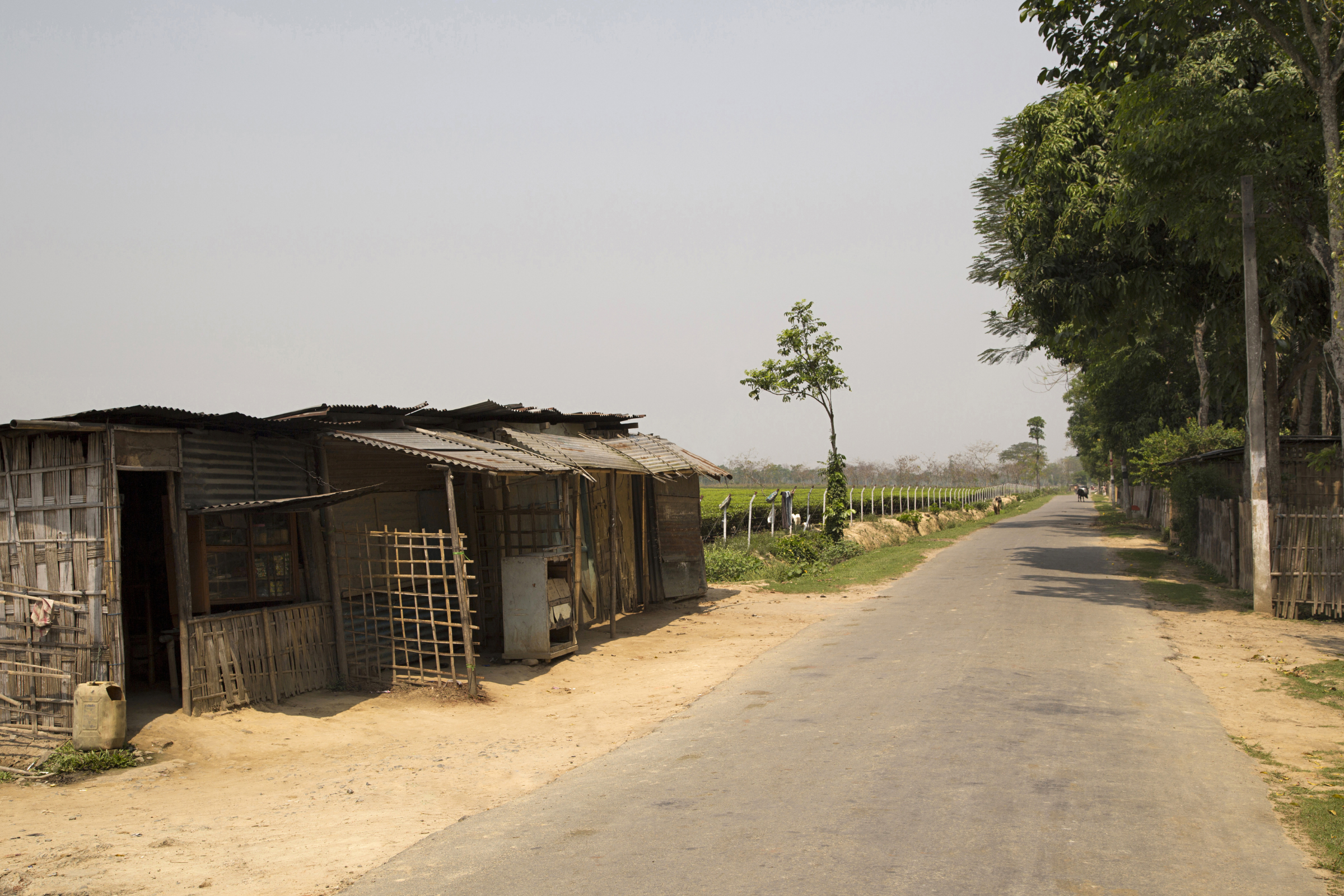 141 jorhat.webp